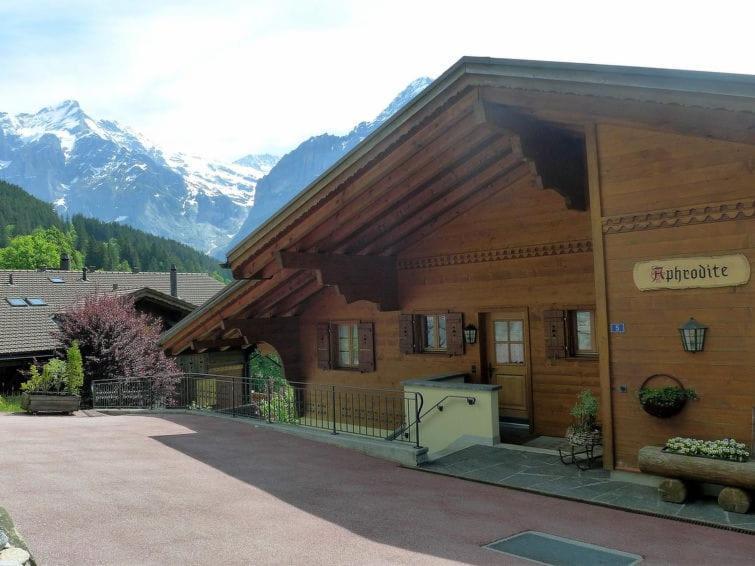 Chalet Aphrodite West Διαμέρισμα Γκρίντελβαλντ Εξωτερικό φωτογραφία